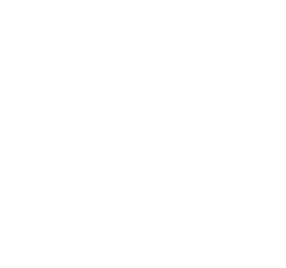 logo virasat e curry